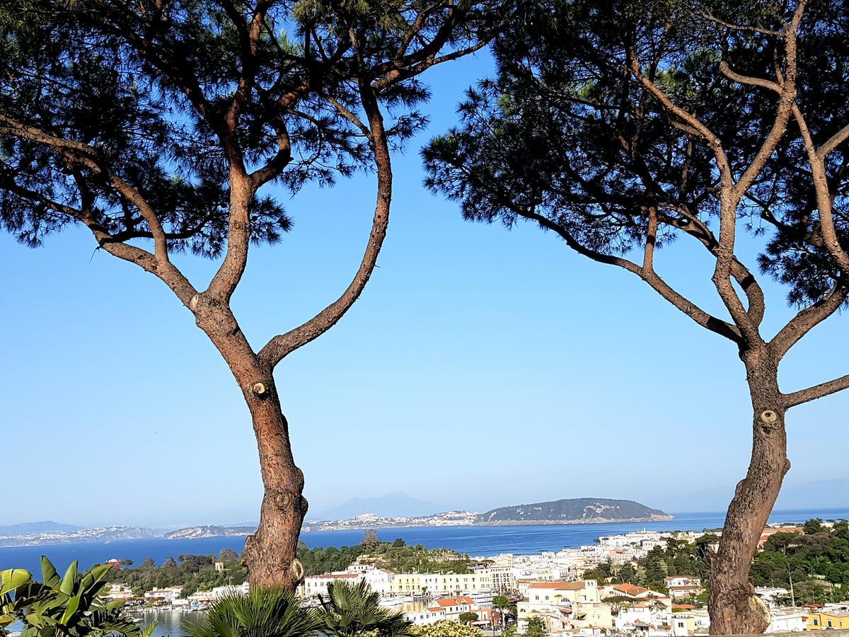 Ischia Dream Visions Apartment Exterior foto