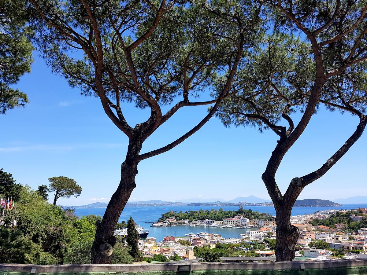 Ischia Dream Visions Apartment Exterior foto