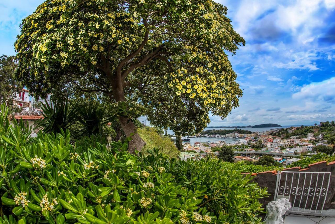 Ischia Dream Visions Apartment Exterior foto