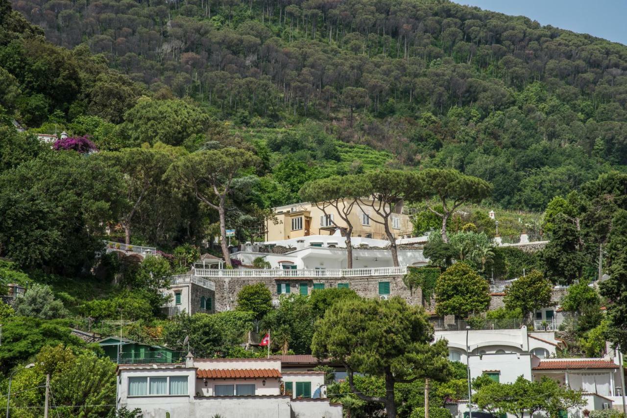 Ischia Dream Visions Apartment Exterior foto